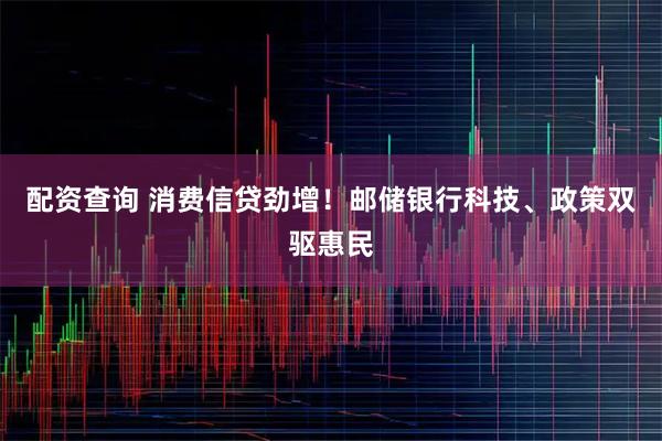 配资查询 消费信贷劲增！邮储银行科技、政策双驱惠民